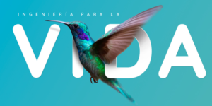 i4life ingenieria para la vida