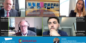 Webinar 30042021 Aprovechar el apoyo de europa