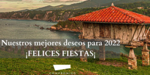 FELICES FIESTAS