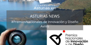 ASTURIAS NEWS PARTNERS (1)