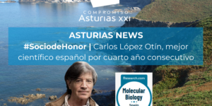 Asturias News (48)