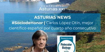 Asturias News (48)