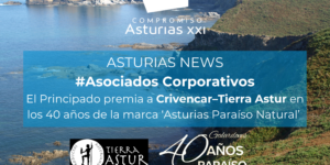 Asoc Corporativos (14)