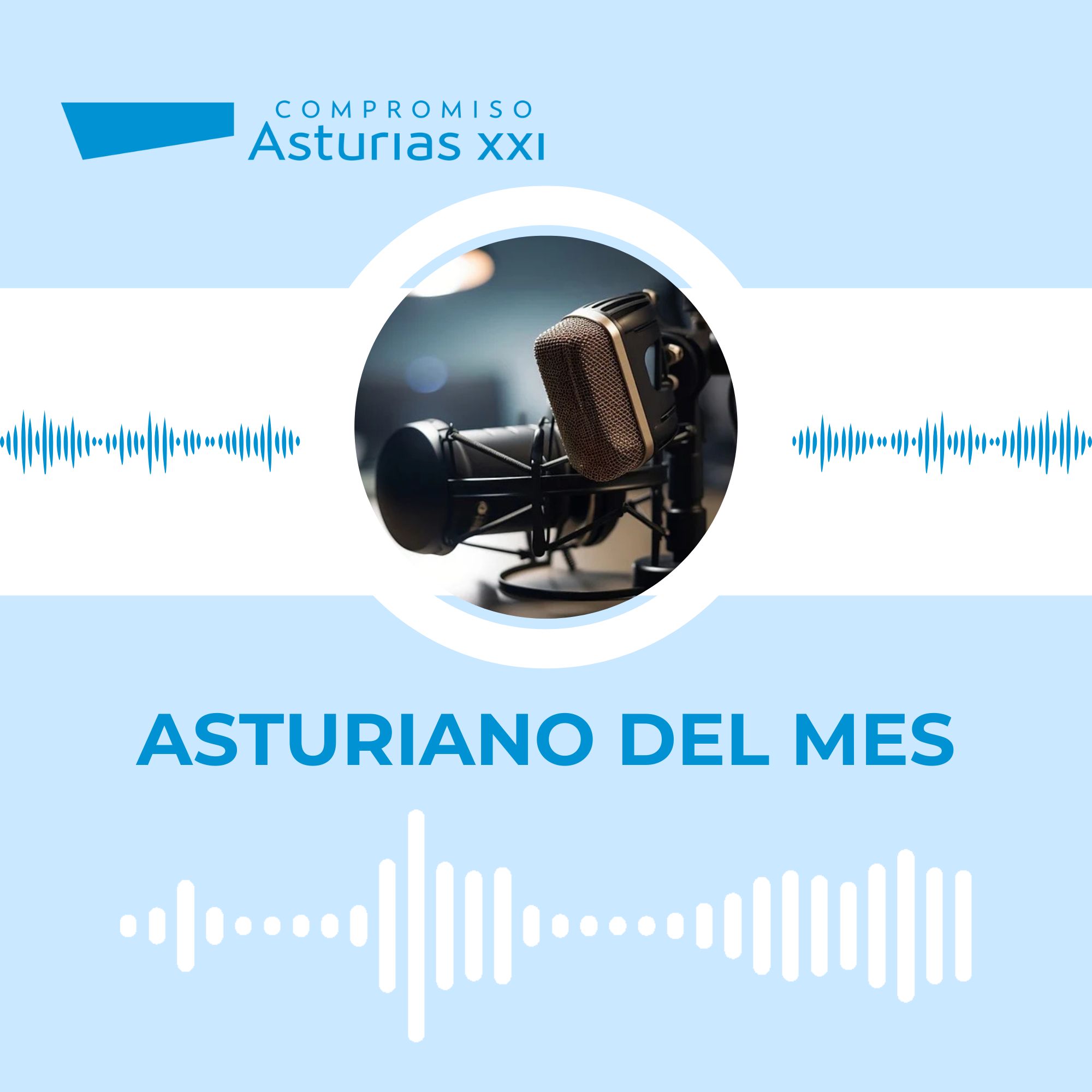 web Socios Colaboradores (3)